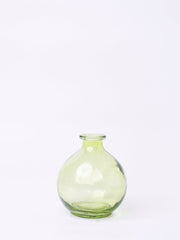 Jade Dried Flowers & Glass Vase, 4.3 x 11.8 Inches